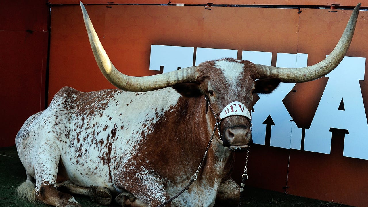 RIP, Bevo XIV: Texas mascot passes away peacefully in his sleep